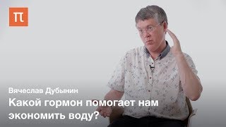 Мозг и жажда — Вячеслав Дубынин