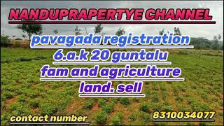 6 a.k 20 guntalu pavagada registration farming land for sale #karnataka# real estate