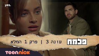 פלמ\