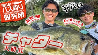 【イッセイISSEIバス釣り研究所】チャター大研究【赤松健＆石川ハルト】