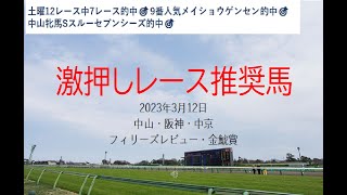 【競馬】フィリーズレビュー　金鯱賞予想　2023年3月12日推奨レース＆推奨馬