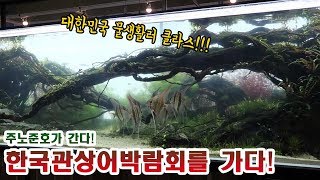 대한민국 물고기 덕후 총집합! 2018 관상어박람회 다녀왔드아!!!