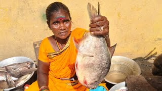 Bat fish cutting in Asombroso🐟 வௌவால் மீன் அருவாமனயில் சுத்தம் செய்வது 🐟