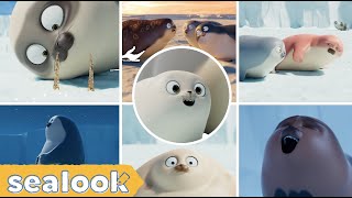 1M Sub Special🏆Who’s Your Favorite Seal?ㅣSEALOOKㅣEpisode Compilation