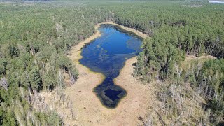 Magic lake Smolak in reserve of polish konik Magiczne Jezioro Smolak w rezerwacie konika polskiego4K