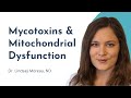 Mycotoxins & Mitochondrial Dysfunction