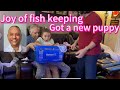 Joy of fish keeping got a new puppy