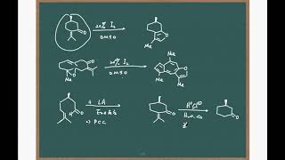 化学竞赛 决赛集训 有机化学4