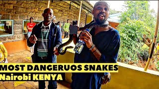 Snake Park Nairobi Kenya | Playing with crocodiles at the National Museum