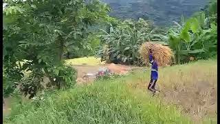 Farmers Life, unang sabak