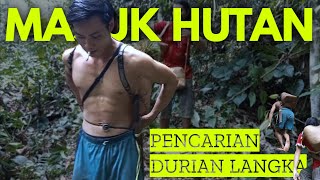 CARA KAMI MENCARI DURIAN DI HUTAN KALIMANTAN