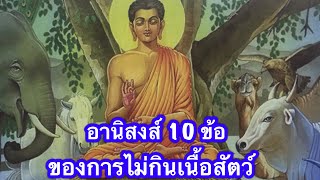 อานิสงส์ 10 ข้อ ของการไม่กินเนื้อสัตว์