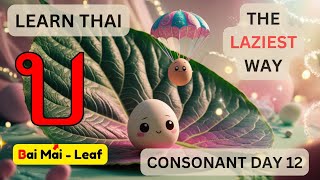 Day 12 - Learn Thai Consonants 12 - Bor Bai-Mai (บ. ใบไม้)