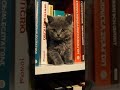 cat kitten books kidsvideo