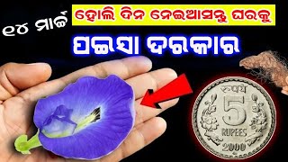 ହୋଲି ଦିନ ଘରକୁ ଆଣିଦିଅନ୍ତୁ ଏହି ୧ ଜିନିଷ ୨୪ ଘଣ୍ଟା ରେ ବଦଲିଯିବ ଆପଣଙ୍କ ଭାଗ୍ୟ || ହେବ ଧନର  ବର୍ଷା || Holi 2025