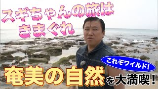 「ハートロック」鹿児島/ 旅行で寄りたい!! 全国おすすめ観光スポット