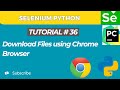 Selenium WebDriver with Python tutorial 36 | How to Download File in Selenium WebDriver