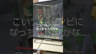 かまくらの地下に村人ゾンビ #minecraft #switch