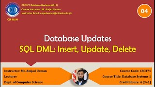4 SQL: DML Insert Update Delete Commands