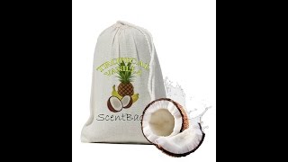 ScentBagz Air Freshener - air deodorizer