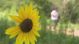 The future looks bright for Memorial Park