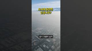 도심 속 나무의 혁신, 액체나무? #shorts