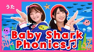 ♬Baby Shark Phonics（Baby Shark ABC Song）ベイビーシャークのおもちゃで歌って遊んでみたよ♪【英語の歌】