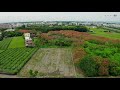 彰化溪州公園無患子花海空拍紀錄音樂 4k60p 1