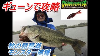 【バス釣り】初秋、琵琶湖のモンスター