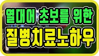 구피초보의 구피치료하기/구피를 치료하는 노하우 공개