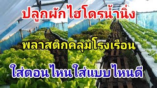 พลาสติกคลุมโรงเรือนปลูกผักสลัด Hydroponics / #บ้านสวนกิตติธรา