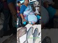 best place to buy fish in mumbai @ malad fish market fish shorts seafood shortsvideo fishmarket