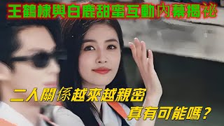 【鶴妍悅色】【王鹤棣×白鹿】王鶴棣與白鹿甜蜜互動內幕揭祕，二人關係越來越親密，真有可能嗎？