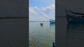 ഇതാണാ കടൽ തീരം #sea #seafood #harbor #harbour #fish #fishing #short #shorts #shortvideo #shortsvideo