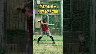 頭動かすなって言われてる人の為の動画 #batting #バッティング #バッティング練習 #battingpractice #指導者 #高校野球 #木製バット #社会人野球 #バッティング理論