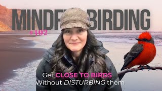 Mindful Birding - A Meditation with Birds  - GET CLOSE TO BIRDS  #102 ( #birdsit )