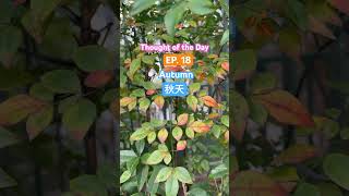 Thought of the Day EP18 秋天Autumn 🍁 喜歡秋天不冷不熱天氣最舒服，流汗不多又不要穿太多太厚的衣服，出門就穿兩件衣服已經可以了非常舒適。可惜近年秋天比較短很快已經消失了