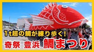 【奇祭! 豊浜 鯛まつり2017】コイキングかよ!! デカカワイイ鯛神輿が街を泳ぐ！