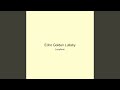 Echo Golden Lullaby