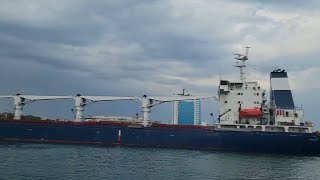 GLOBALink | 1st ship carrying Ukrainian grain on way to Lebanon