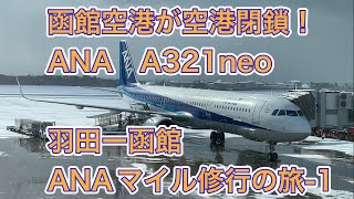 【函館空港閉鎖】ANA 羽田ー函館 A321neo 搭乗レポ（ANAマイル修行 Part1）ANA A321neo Tokyo/HANEDA-Hakodate Flight Report [4K]