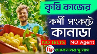 কৃষি কাজের কর্মী সংকটে কানাডা || Canada Agriculture Job Visa || Canada Job Visa #Canada68