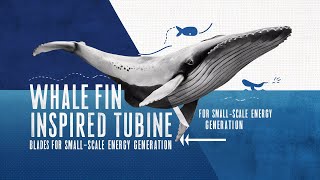 Revolutionizing Wind Power: Whale Fin-Inspired Turbine Blades for Small-Scale Energy!