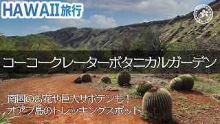 【ハワイ旅行】穴場スポット！ココクレーターボタニカルガーデン編　ワイキキから30分の植物園！珍しい植物がいっぱい！！ 【4K】 ハワイ観光 ハワイ ドライブ botanical garden