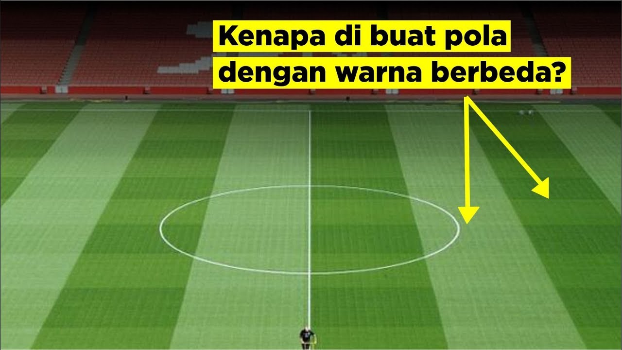 Lapangan Sepak Bola – Newstempo