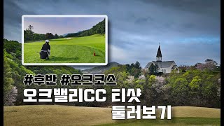 원주 오크밸리CC 티샷둘러보기 #2 후반 오크코스