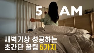 매일 5시 30분에 일어나는 갓생 직장인이 알려주는 새벽기상 초간단 꿀팁 5가지 🌅 의지박약인 나를 4년째 미라클 모닝으로 이끌어준, 일찍 일어나는 방법 대방출 | 아침형 인간