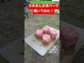 ゆるキャン あのハンバーグ キャンプ そのまんま肉バーグ焼いてみた！ 静岡県 さわやか と同じ味 shorts