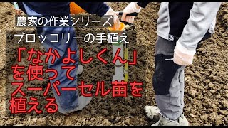 農家の作業シリーズ/ブロッコリーの手植え「なかよしくん」を使ってスーパーセル苗を植える/2020.9.23