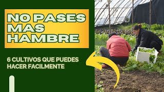 6 CULTIVOS ESENCIALES PARA NO PASAR HAMBRE